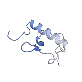3730_5o2r_r_v1-3
Cryo-EM structure of the proline-rich antimicrobial peptide Api137 bound to the terminating ribosome