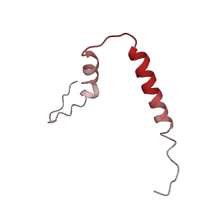 3730_5o2r_u_v1-3
Cryo-EM structure of the proline-rich antimicrobial peptide Api137 bound to the terminating ribosome