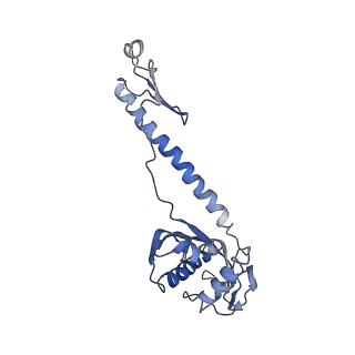 3730_5o2r_v_v1-3
Cryo-EM structure of the proline-rich antimicrobial peptide Api137 bound to the terminating ribosome