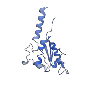 3731_5o31_B_v1-4
Mitochondrial complex I in the deactive state