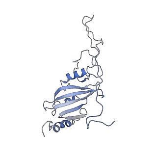 3731_5o31_C_v1-4
Mitochondrial complex I in the deactive state
