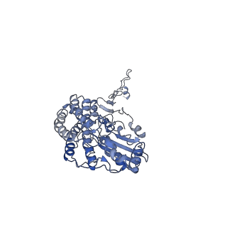 3731_5o31_D_v1-4
Mitochondrial complex I in the deactive state