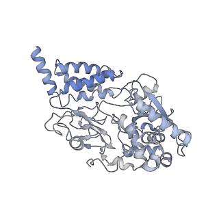 3731_5o31_F_v1-4
Mitochondrial complex I in the deactive state