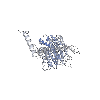 3731_5o31_L_v1-4
Mitochondrial complex I in the deactive state