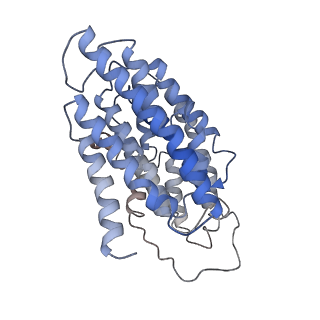3731_5o31_N_v1-4
Mitochondrial complex I in the deactive state