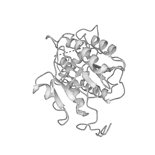 3731_5o31_P_v1-4
Mitochondrial complex I in the deactive state