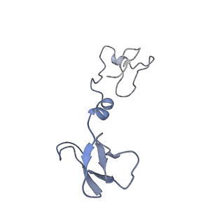 3731_5o31_R_v1-4
Mitochondrial complex I in the deactive state
