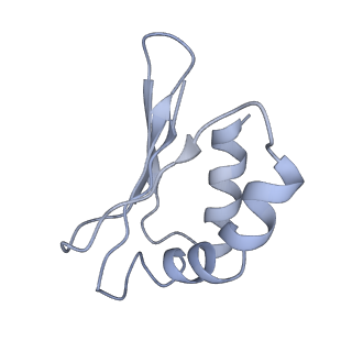 3731_5o31_S_v1-4
Mitochondrial complex I in the deactive state