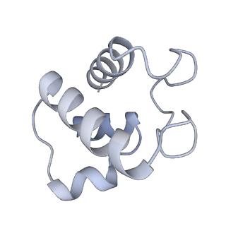 3731_5o31_T_v1-4
Mitochondrial complex I in the deactive state