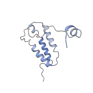 3731_5o31_W_v1-4
Mitochondrial complex I in the deactive state