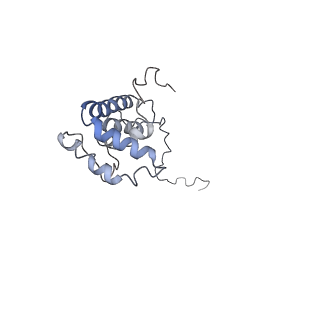 3731_5o31_X_v1-4
Mitochondrial complex I in the deactive state