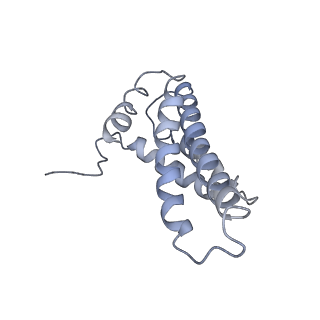 3731_5o31_Y_v1-4
Mitochondrial complex I in the deactive state