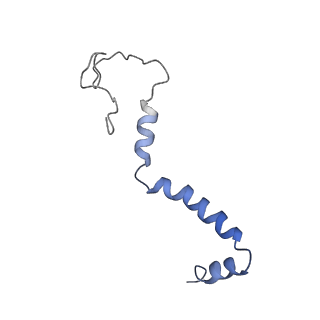 3731_5o31_b_v1-4
Mitochondrial complex I in the deactive state