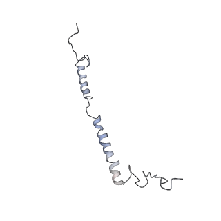 3731_5o31_g_v1-4
Mitochondrial complex I in the deactive state