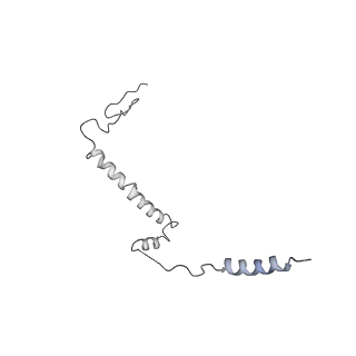 3731_5o31_i_v1-4
Mitochondrial complex I in the deactive state
