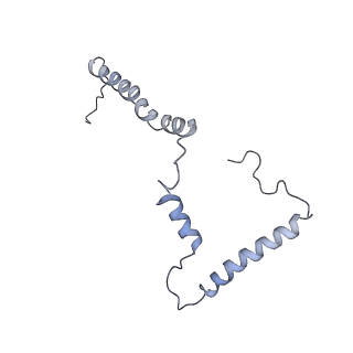 3731_5o31_m_v1-4
Mitochondrial complex I in the deactive state