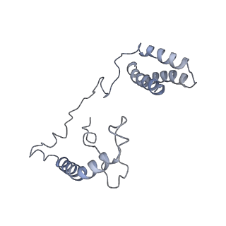 3731_5o31_n_v1-4
Mitochondrial complex I in the deactive state