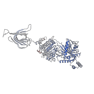 12716_7o42_A_v1-2
TrwK/VirB4unbound trimer of dimers complex (with Hcp1) from the R388 type IV secretion system determined by cryo-EM.