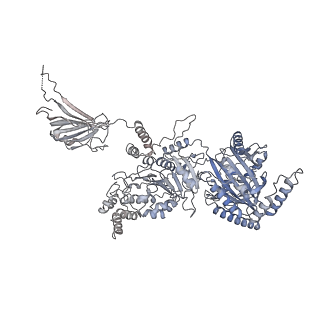 12716_7o42_B_v1-2
TrwK/VirB4unbound trimer of dimers complex (with Hcp1) from the R388 type IV secretion system determined by cryo-EM.