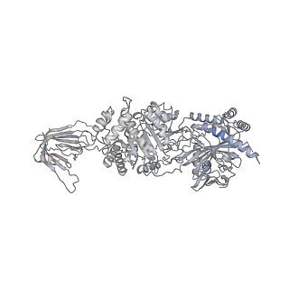 12716_7o42_D_v1-2
TrwK/VirB4unbound trimer of dimers complex (with Hcp1) from the R388 type IV secretion system determined by cryo-EM.