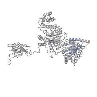 12716_7o42_E_v1-2
TrwK/VirB4unbound trimer of dimers complex (with Hcp1) from the R388 type IV secretion system determined by cryo-EM.