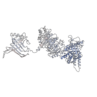 12716_7o42_F_v1-2
TrwK/VirB4unbound trimer of dimers complex (with Hcp1) from the R388 type IV secretion system determined by cryo-EM.
