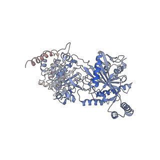 12717_7o43_A_v1-2
TrwK/VirB4unbound dimer complex from R388 type IV secretion system determined by cryo-EM.