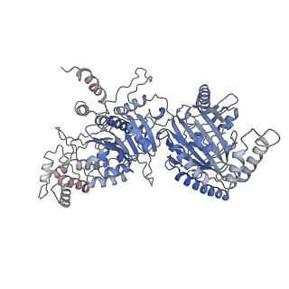 12717_7o43_B_v1-2
TrwK/VirB4unbound dimer complex from R388 type IV secretion system determined by cryo-EM.