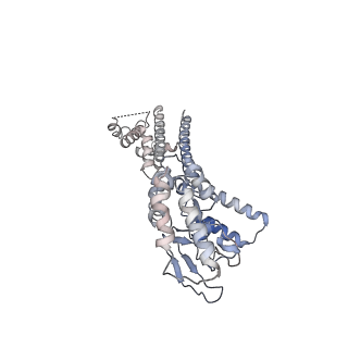 12718_7o4h_D_v1-1
The structure of the native CNGA1/CNGB1 CNG channel from retinal rods