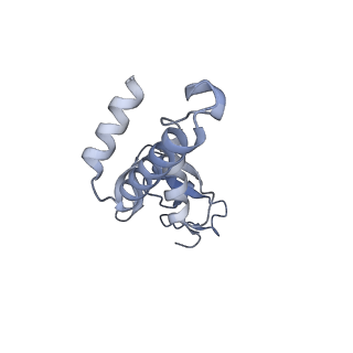 12719_7o4i_3_v1-2
Yeast RNA polymerase II transcription pre-initiation complex with initial transcription bubble