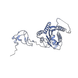12719_7o4i_4_v1-2
Yeast RNA polymerase II transcription pre-initiation complex with initial transcription bubble
