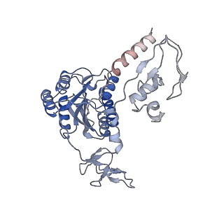 12719_7o4i_6_v1-2
Yeast RNA polymerase II transcription pre-initiation complex with initial transcription bubble