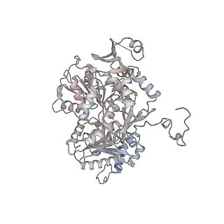 12719_7o4i_7_v1-2
Yeast RNA polymerase II transcription pre-initiation complex with initial transcription bubble