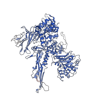 12719_7o4i_B_v1-2
Yeast RNA polymerase II transcription pre-initiation complex with initial transcription bubble