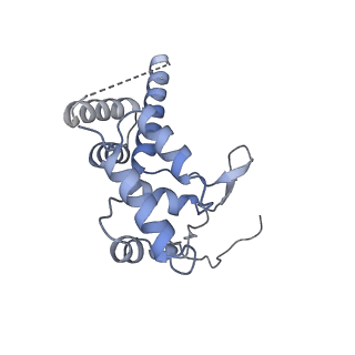 12719_7o4i_D_v1-2
Yeast RNA polymerase II transcription pre-initiation complex with initial transcription bubble