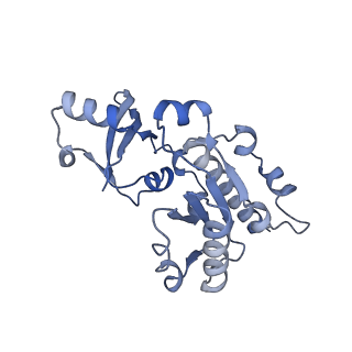 12719_7o4i_E_v1-2
Yeast RNA polymerase II transcription pre-initiation complex with initial transcription bubble