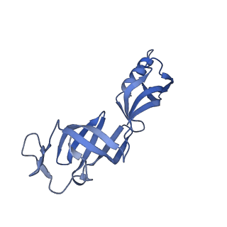 12719_7o4i_G_v1-2
Yeast RNA polymerase II transcription pre-initiation complex with initial transcription bubble