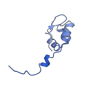12719_7o4i_J_v1-2
Yeast RNA polymerase II transcription pre-initiation complex with initial transcription bubble