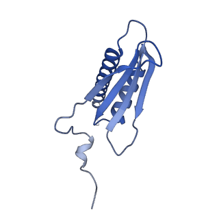 12719_7o4i_K_v1-2
Yeast RNA polymerase II transcription pre-initiation complex with initial transcription bubble