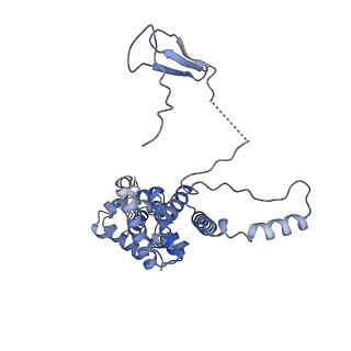 12719_7o4i_M_v1-2
Yeast RNA polymerase II transcription pre-initiation complex with initial transcription bubble