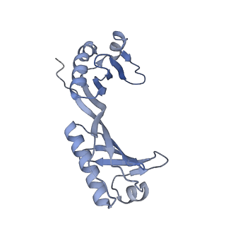 12719_7o4i_O_v1-2
Yeast RNA polymerase II transcription pre-initiation complex with initial transcription bubble