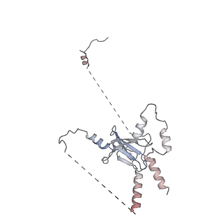 12719_7o4i_Q_v1-2
Yeast RNA polymerase II transcription pre-initiation complex with initial transcription bubble