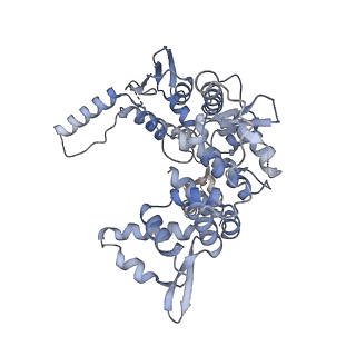 12720_7o4j_2_v1-2
Yeast RNA polymerase II transcription pre-initiation complex (consensus)