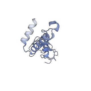 12720_7o4j_3_v1-2
Yeast RNA polymerase II transcription pre-initiation complex (consensus)