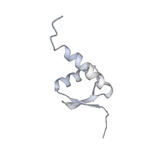 12720_7o4j_5_v1-2
Yeast RNA polymerase II transcription pre-initiation complex (consensus)