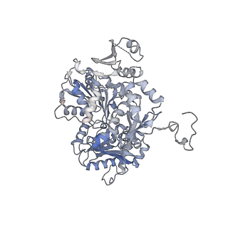 12720_7o4j_7_v1-2
Yeast RNA polymerase II transcription pre-initiation complex (consensus)