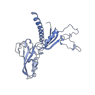 12720_7o4j_C_v1-2
Yeast RNA polymerase II transcription pre-initiation complex (consensus)
