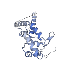 12720_7o4j_D_v1-2
Yeast RNA polymerase II transcription pre-initiation complex (consensus)