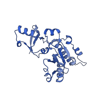12720_7o4j_E_v1-2
Yeast RNA polymerase II transcription pre-initiation complex (consensus)