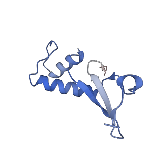 12720_7o4j_F_v1-2
Yeast RNA polymerase II transcription pre-initiation complex (consensus)